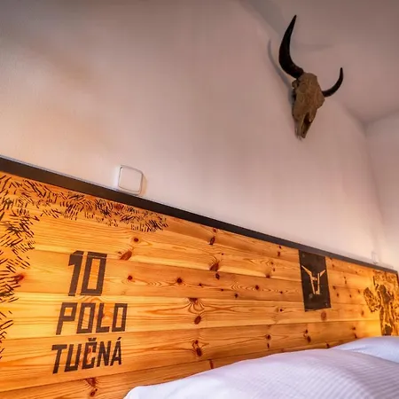 מלון Pivni Nepomuk (Plzen-South)