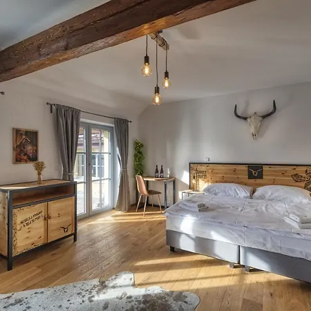 מלון Pivni Nepomuk (Plzen-South)