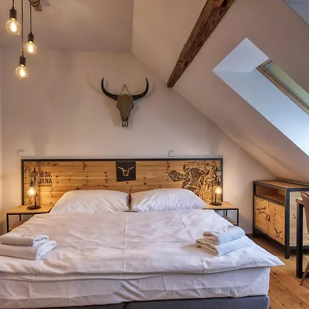 מלון Pivni Nepomuk (Plzen-South)