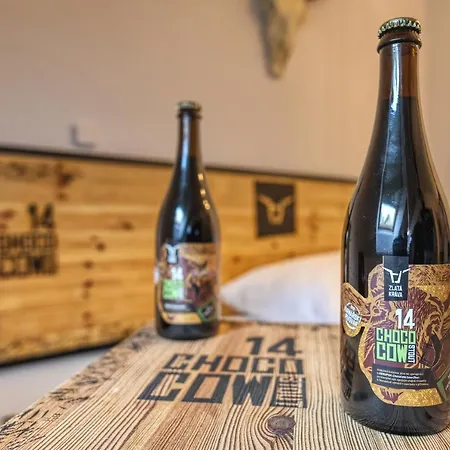 מלון Pivni Nepomuk (Plzen-South)