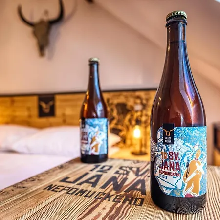 Pivni מלון Nepomuk (Plzen-South)