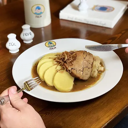 Pivni מלון Nepomuk (Plzen-South)