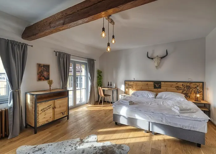 Hotel Pivni Nepomuk (Plzen-South)
